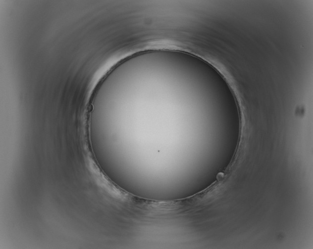 X0000112851008200908281559