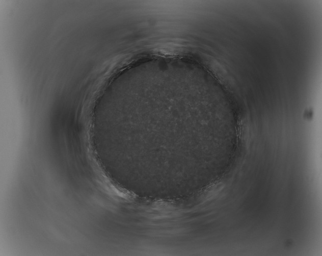 X0000112851009200908281558