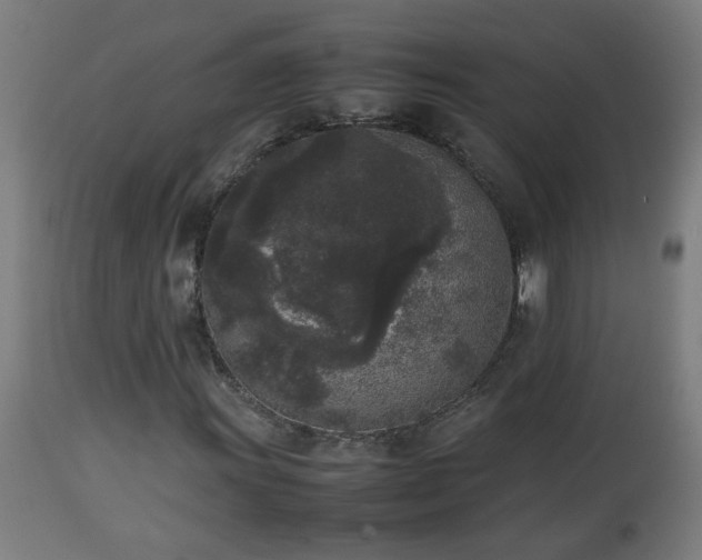 X0000112851011200908281558
