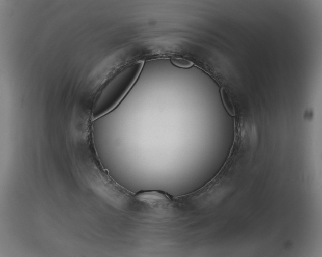 X0000112851012200908281558