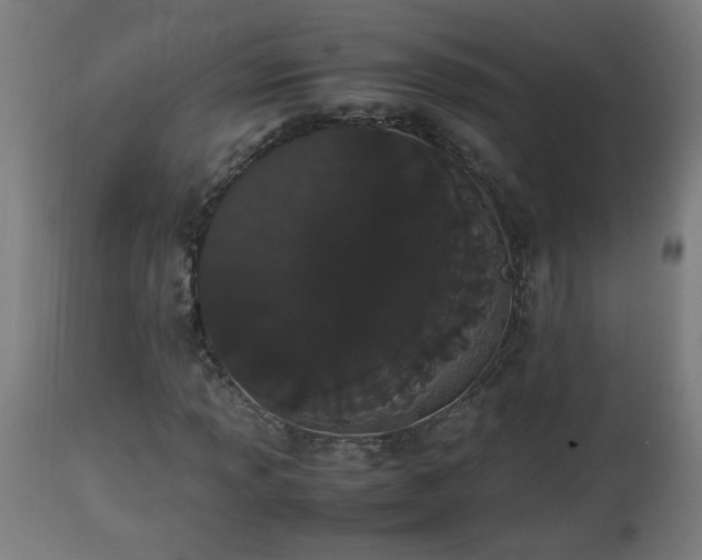 X0000112851013200908281558