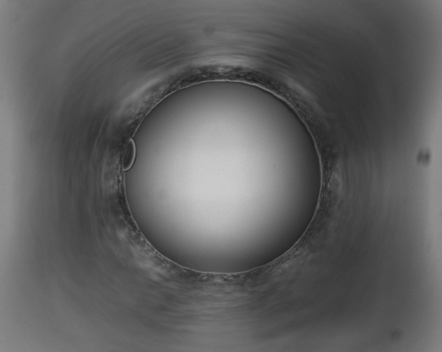 X0000112851014200908281558