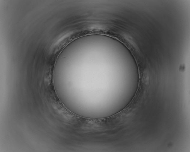 X0000112851015200908281558