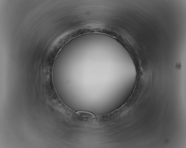 X0000112851016200908281558
