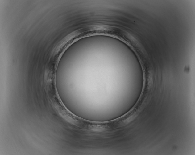 X0000112851017200908281558
