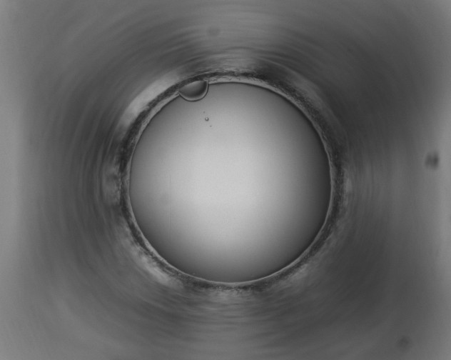 X0000112851018200908281558