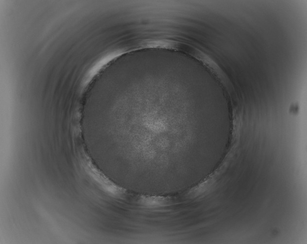 X0000112851019200908281558