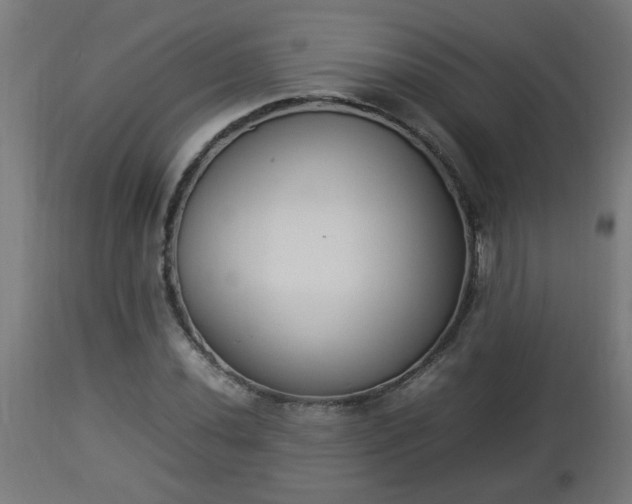 X0000112851020200908281558