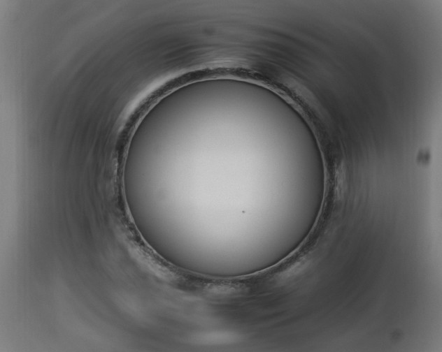 X0000112851021200908281558