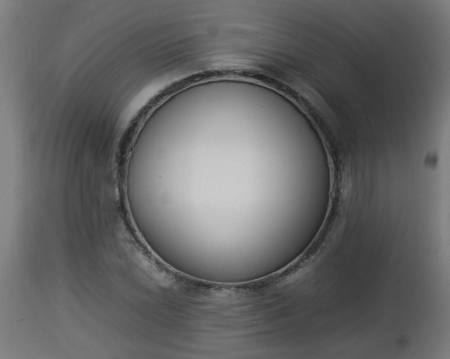X0000112851022200908281558