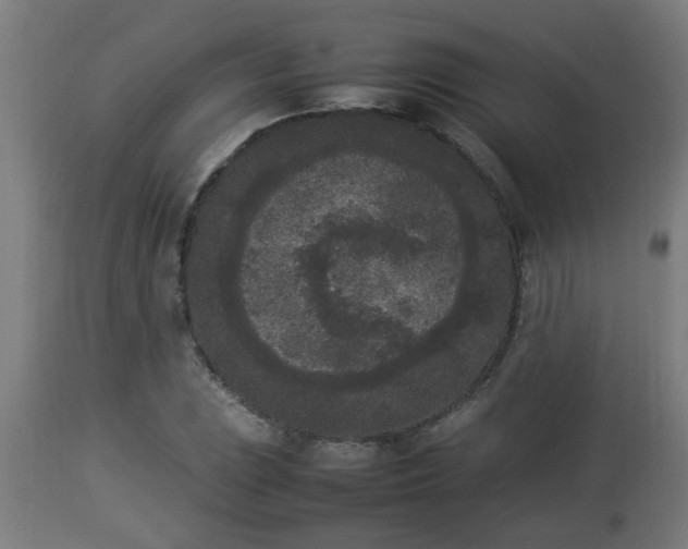 X0000112851023200908281558