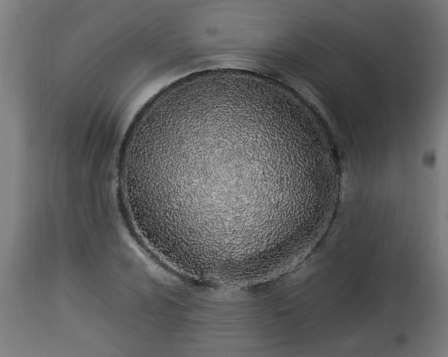 X0000112851024200908281558