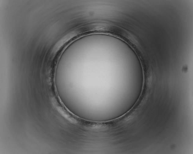 X0000112851026200908281558