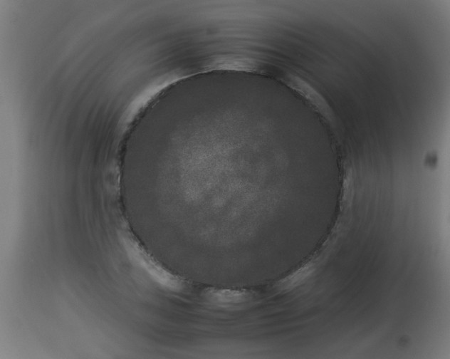 X0000112851027200908281558
