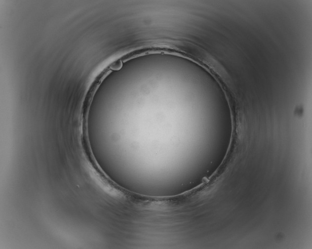 X0000112851028200908281558