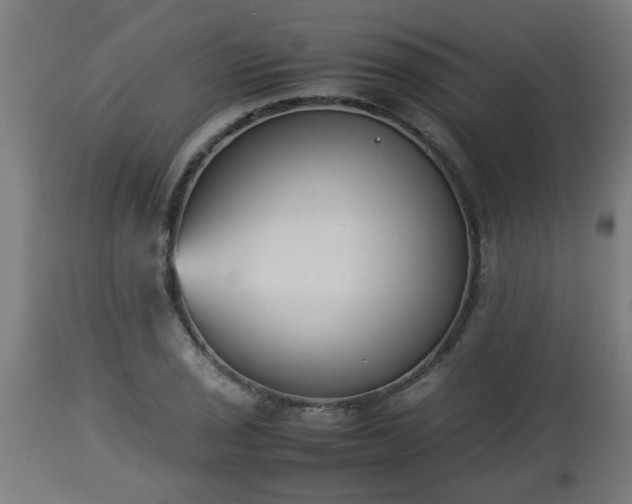 X0000112851029200908281558