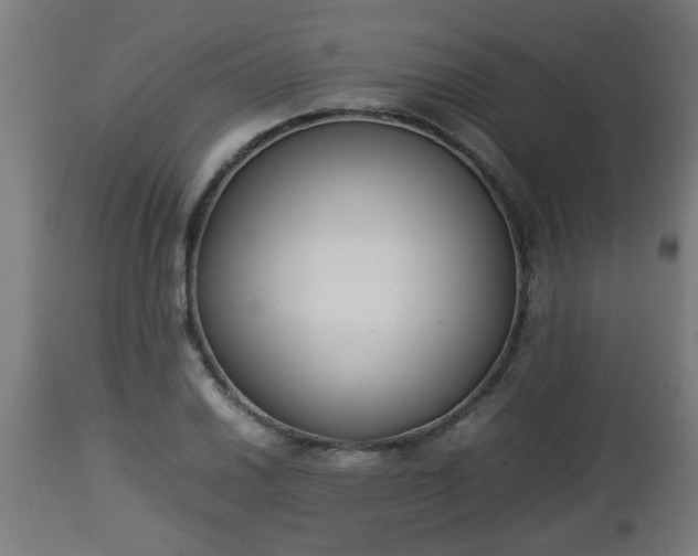 X0000112851030200908281558