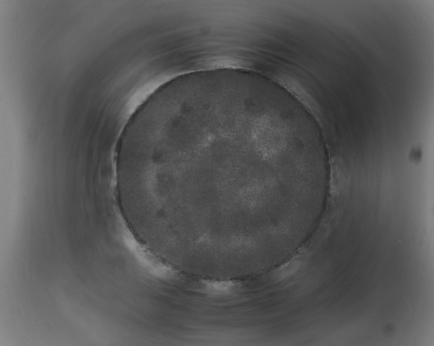 X0000112851031200908281558