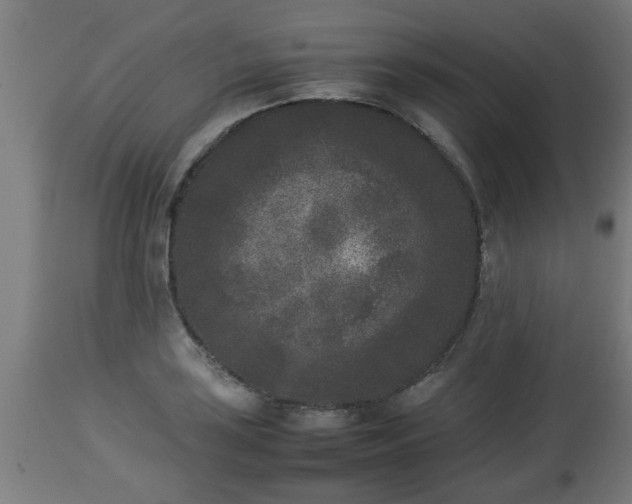 X0000112851035200908281558
