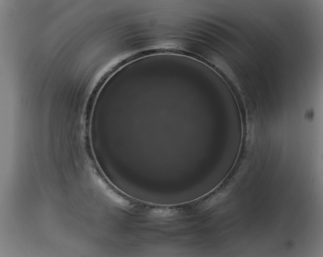 X0000112851037200908281558