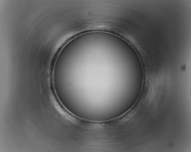 X0000112851038200908281558