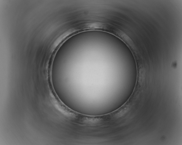 X0000112851039200908281558