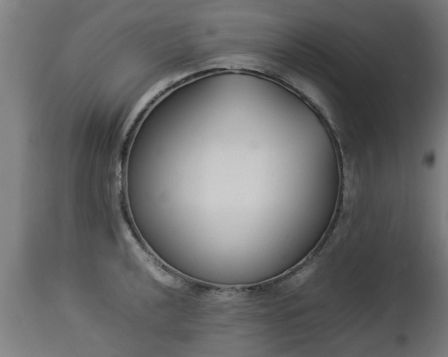 X0000112851040200908281558