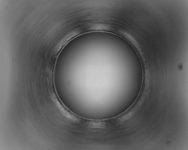 X0000112851041200908281558