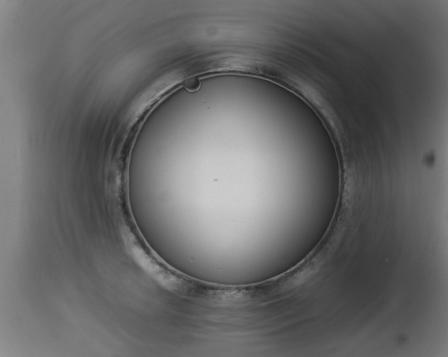 X0000112851042200908281558