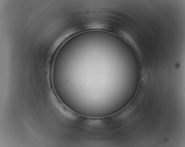 X0000112851043200908281558