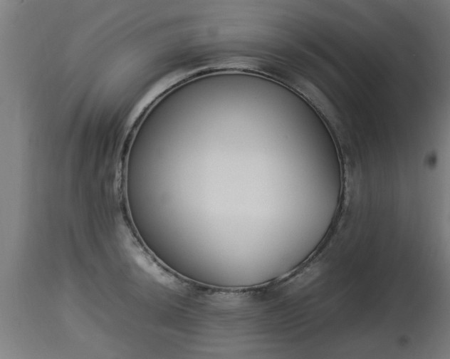 X0000112851044200908281558