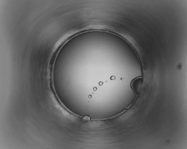 X0000112851046200908281559