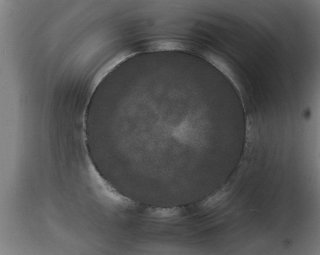 X0000112851047200908281559