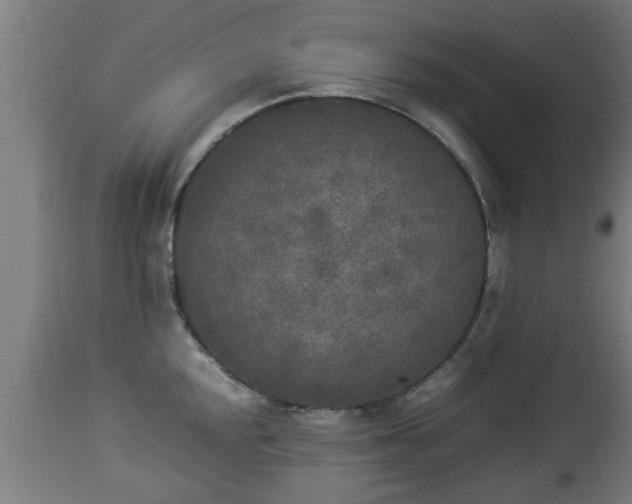 X0000112851048200908281559