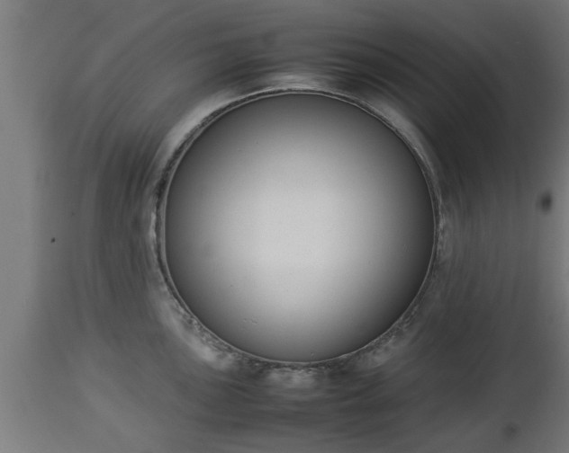 X0000112851051200908281559