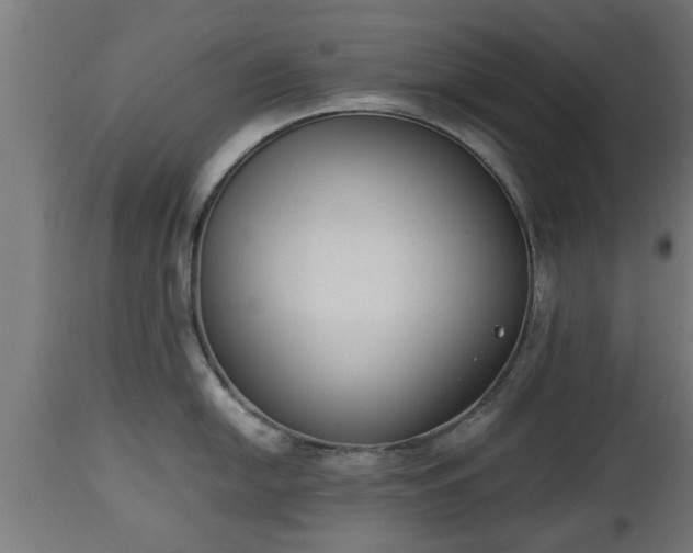 X0000112851054200908281559