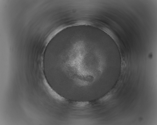 X0000112851055200908281559