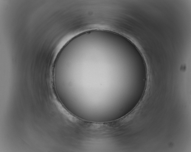 X0000112851056200908281559