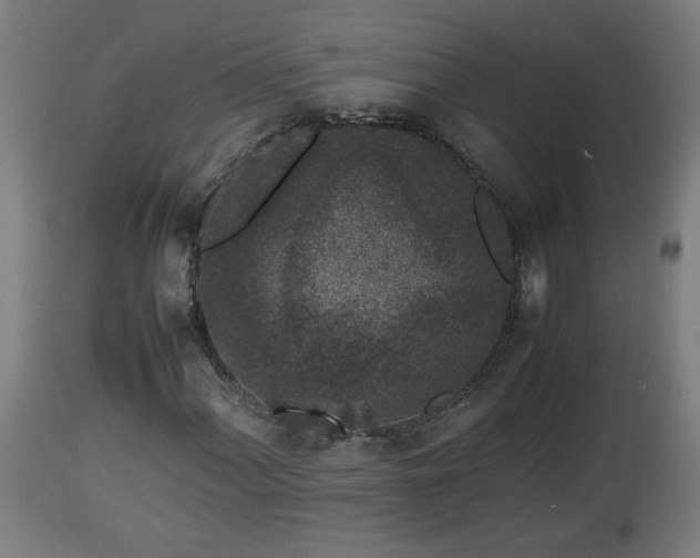 X0000112851060200908281558