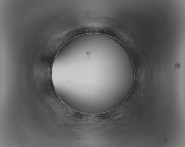 X0000112851061200908281558