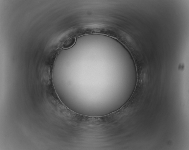 X0000112851062200908281558