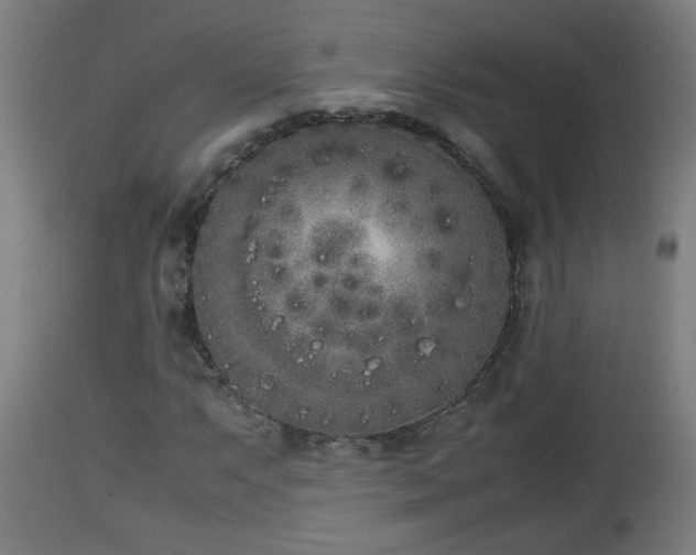 X0000112851063200908281558