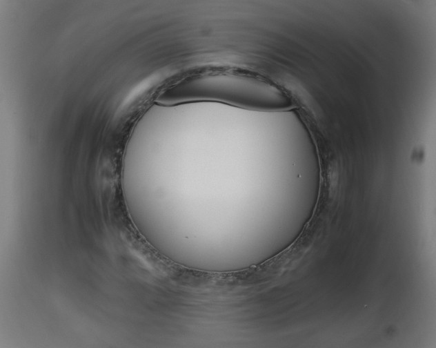 X0000112851064200908281558