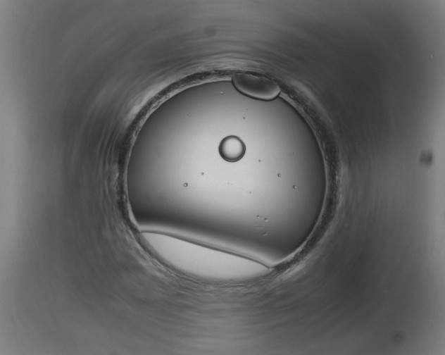 X0000112851065200908281558