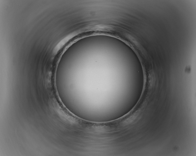 X0000112851066200908281558