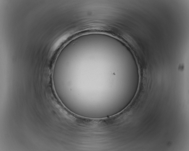 X0000112851067200908281558
