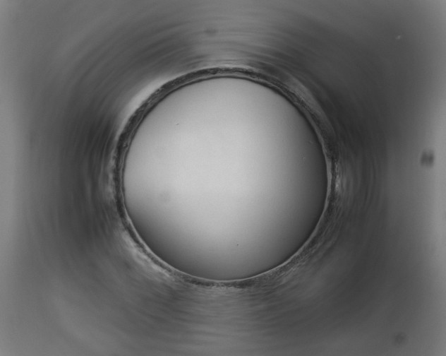 X0000112851068200908281557