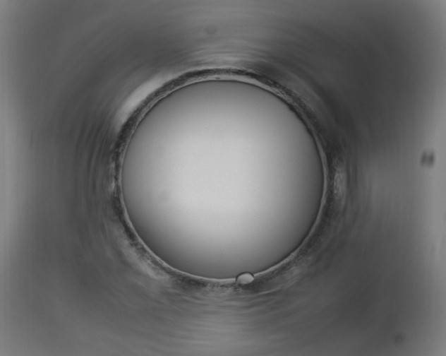 X0000112851069200908281557