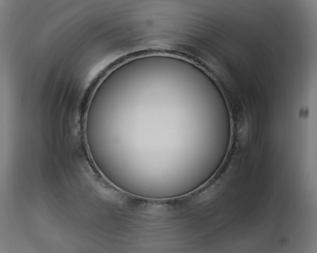 X0000112851070200908281557