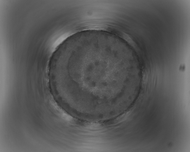 X0000112851071200908281557